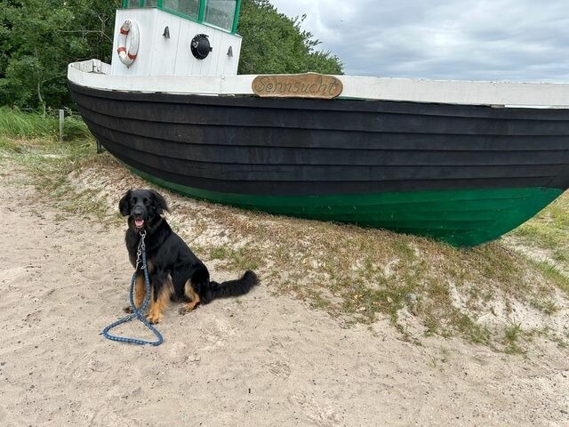 Ferienwohnung in Ostseeheilbad Zingst - Sehnsuchtsort - Bild 21