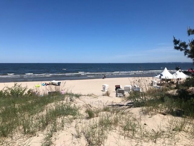 Ferienwohnung in Heringsdorf -  Strand Park-Heringsdorf-InselUsedom - Bild 7
