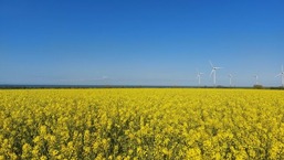 Ferienwohnung Meerweh auf Fehmarn