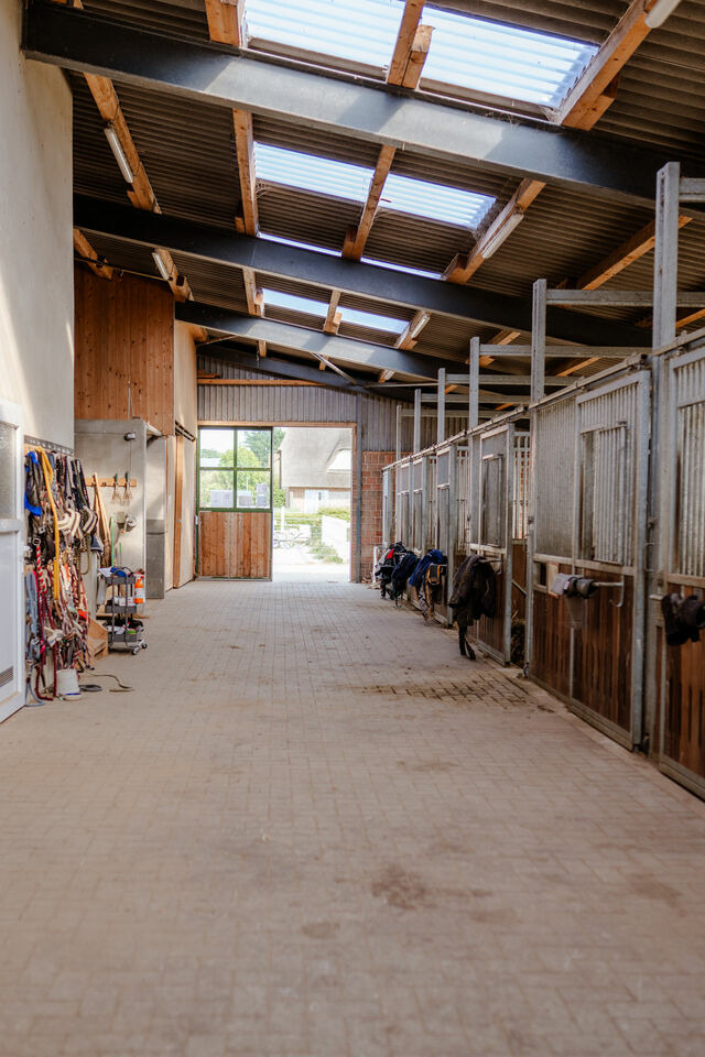 Ferienhaus in Fehmarn OT Staberdorf - Backhaus 4 - Bild 22