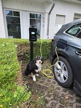 Ferienwohnung in Zingst - Boddenkieker 03 - Bild 22