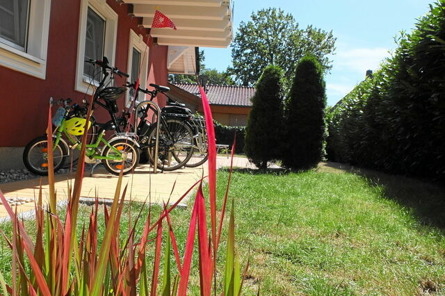 Ferienwohnung in Ostseeheilbad Zingst - Villa Sola Bona Fewo 1 - Bild 4