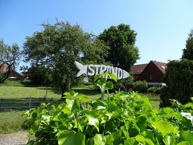 Ferienhaus in Kellenhusen - Wintershörn - Bild 23