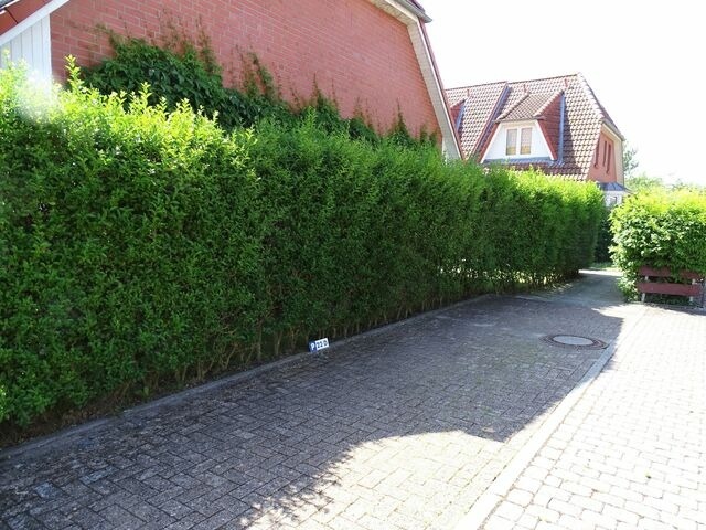 Ferienhaus in Kellenhusen - Wintershörn - Bild 24