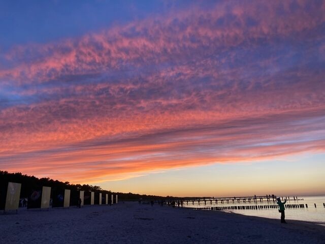 Ferienwohnung in Ostseeheilbad Zingst - Boddenkieker 15 - Bild 16