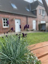 Ferienwohnung in Fehmarn OT Wulfen - Anneliese Blumenwiese - Bild 18