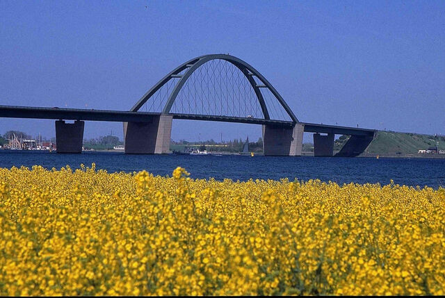 Ferienwohnung in Gro&szlig;enbrode - M&ouml;wennest 9 - Gro&szlig;enbrode - Bild 12