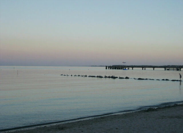 Ferienwohnung in Großenbrode - Sonnenschein 16 - Großenbrode - Bild 16