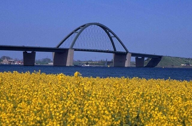 Ferienwohnung in Großenbrode - Möwennest 7 - Großenbrode - Bild 10