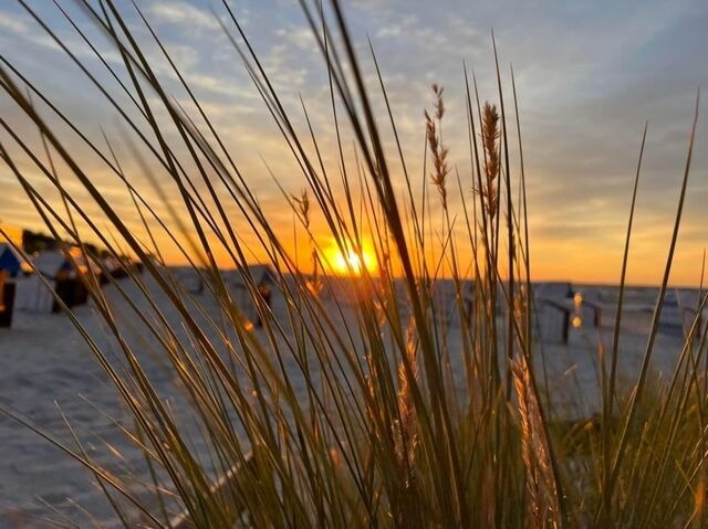 Ferienwohnung in Gr&ouml;mitz - Seeschl&ouml;sschen 5-15 (198) - Bild 15