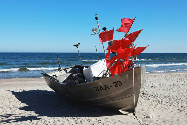 Ferienhaus in Baabe - Dwarsloeper - Baabe - Bild 23