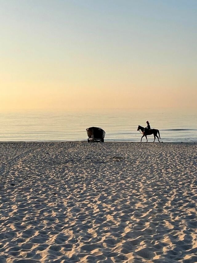 Ferienwohnung in Dierhagen - Meeresrauschen 03 - Bild 15