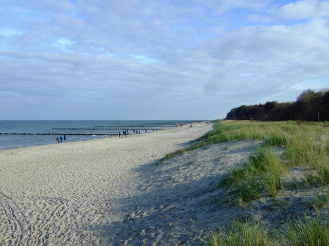 Ferienwohnung in Zingst - Boddenkieker 18 - Bild 24