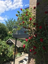 Ferienwohnung in Eckernförde - "De Lütt Schick" - Haus Sylvia 7 - Bild 16