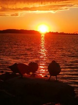 Ferienwohnung in Fehmarn - Hausboot Fehmarn - Bild 16