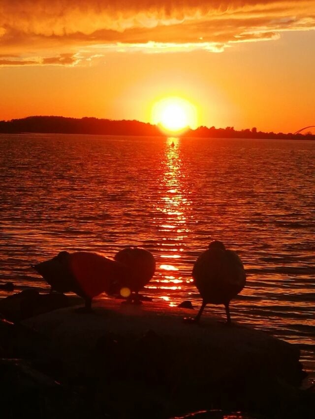 Ferienwohnung in Fehmarn - Hausboot Fehmarn - Bild 16