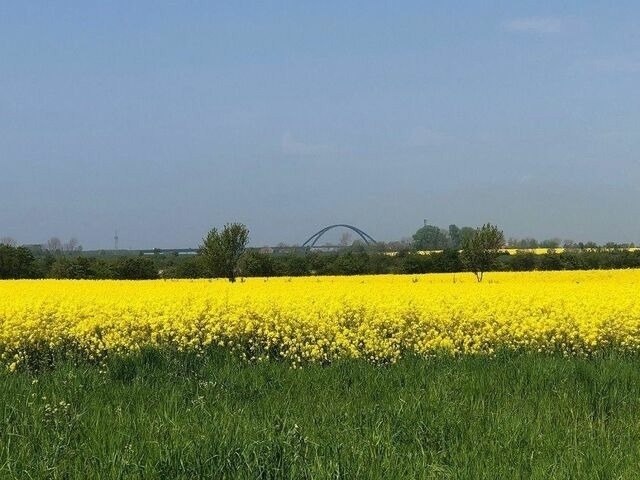 Ferienwohnung in Gro&szlig;enbrode - "Strandpark Gro&szlig;enbrode", Haus "Meerblick", Wohnung 16 - Bild 24