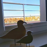 Ferienwohnung in Eckernf&ouml;rde - Apartment 40 "Backbord",, Blickrichtung Binnenhafen Nord-West/Offenes Meer/Innenstadt - Bild 14