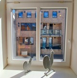 Ferienwohnung in Eckernf&ouml;rde - Ferienwohnug "Die Strandbutze", Strandn&auml;he - Bild 7