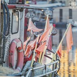 Ferienwohnung in Eckernf&ouml;rde - Ferienwohnug "Die Strandbutze", Strandn&auml;he - Bild 14