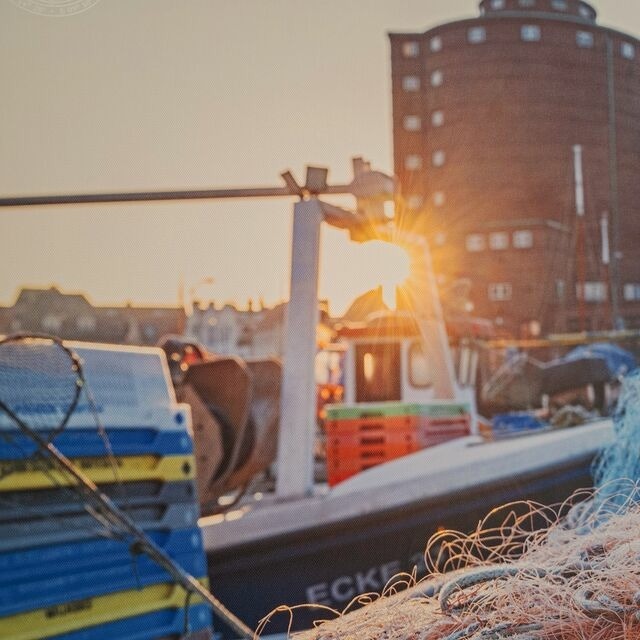 Ferienwohnung in Eckernf&ouml;rde - Ferienwohnug "Die Strandbutze", Strandn&auml;he - Bild 15