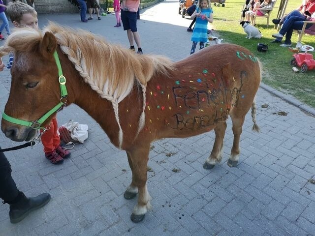 Ferienwohnung in Fehmarn OT Staberdorf - Tenne 3, inkl. 1 Parkplatz - Bild 12