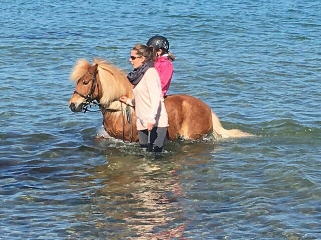 Ferienwohnung in Fehmarn OT Staberdorf - Landhaus 1, inkl. 1 Parkplatz - Bild 18