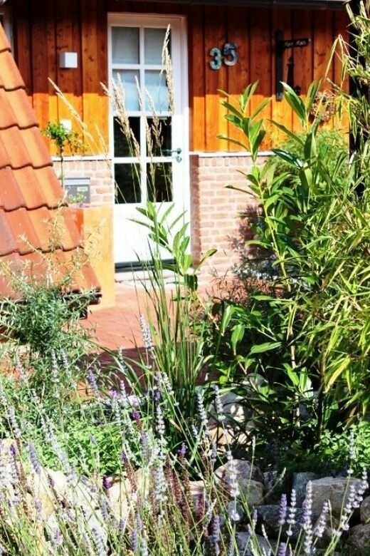 Ferienhaus in Kellenhusen - Waldhaus - Bild 24