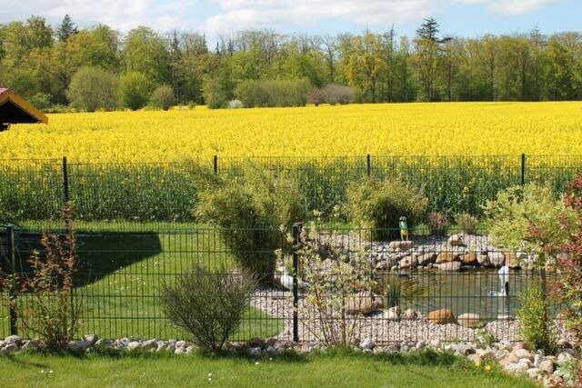 Ferienhaus in Kellenhusen - Waldhaus - Bild 20