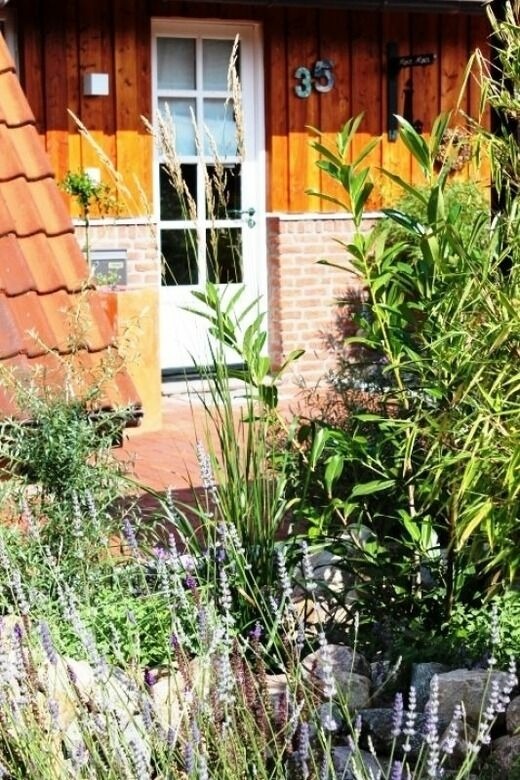 Ferienhaus in Kellenhusen - Waldhaus - Bild 22