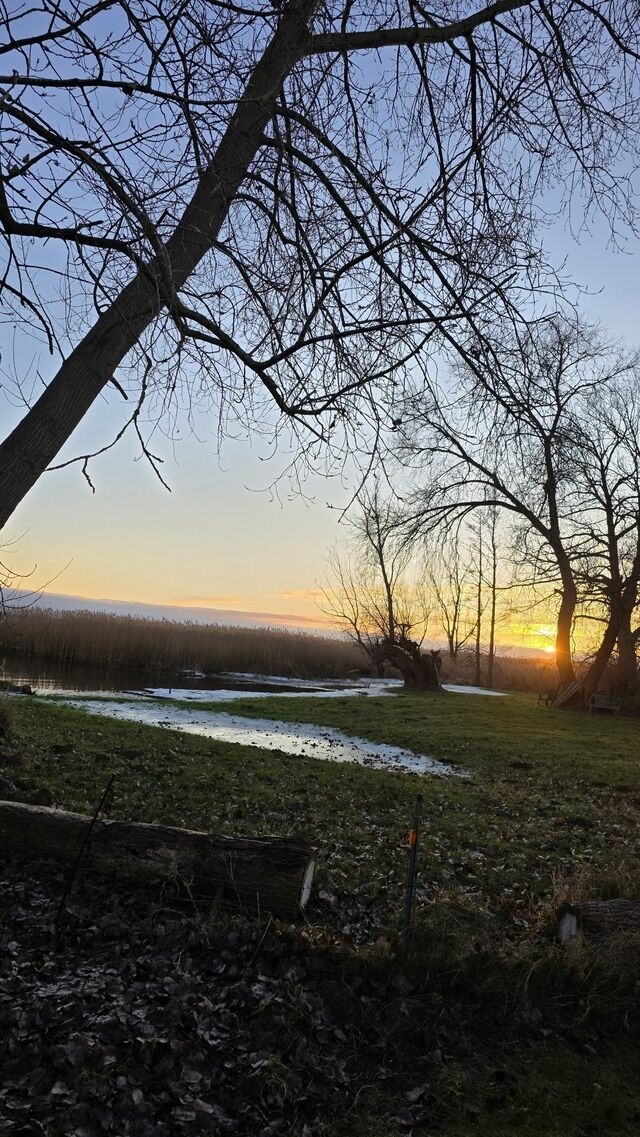 Ferienhaus in L&uuml;tow - Ferienhaus K&ouml;hler Am Achterwasser , Urlaub mit Hund - Bild 22