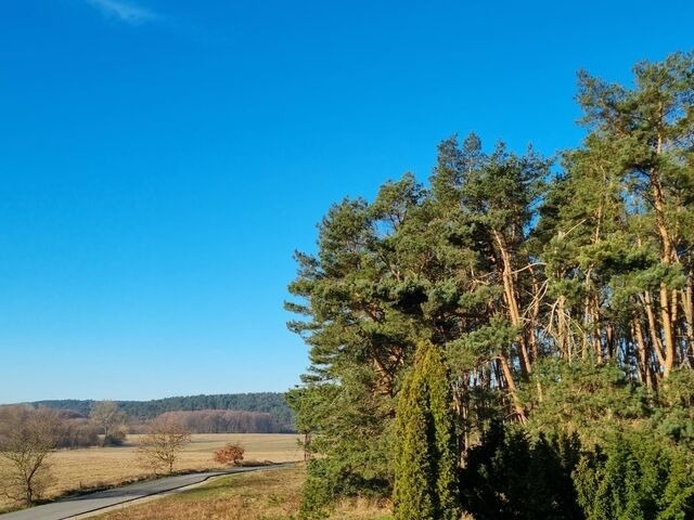 Ferienwohnung in Lütow - Ferienhaus Köhler Am Walde , Urlaub mit Hund - Bild 12
