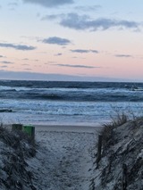 Ferienwohnung in Lütow - Ferienhaus Köhler Am Walde , Urlaub mit Hund - Bild 14