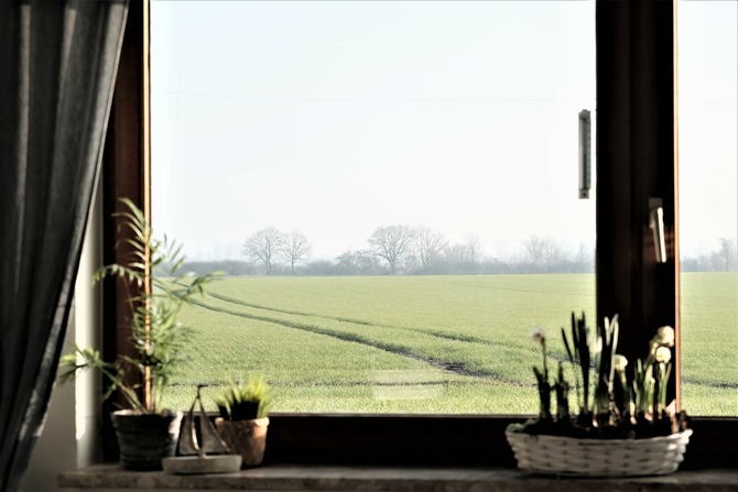 Ferienwohnung in Cismar - Ferienwohnung Oetken - Blick aufs Feld vom Wohnbereich