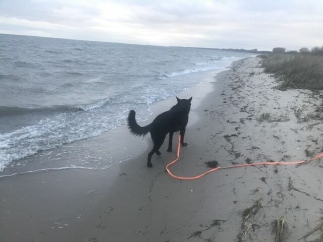 Ferienwohnung in Gahlkow - Strandperle 2 - Bild 19