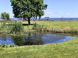 Bungalow in Altwarp - Bungalow, Altwarp , Meerblick,Hund darf mit - Bild 20