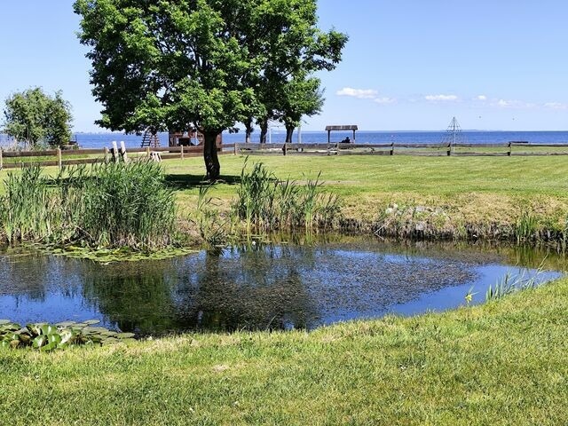 Bungalow in Altwarp - Bungalow, Altwarp , Meerblick,Hund darf mit - Bild 20
