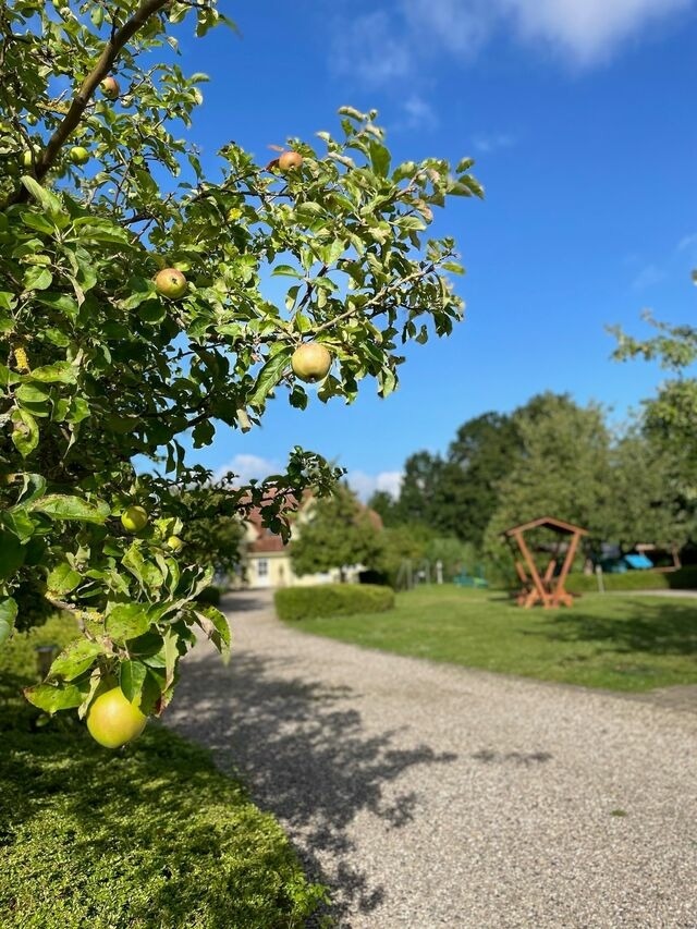 Ferienwohnung in Fehmarn OT Wulfen - Fru Hansen - Bild 17