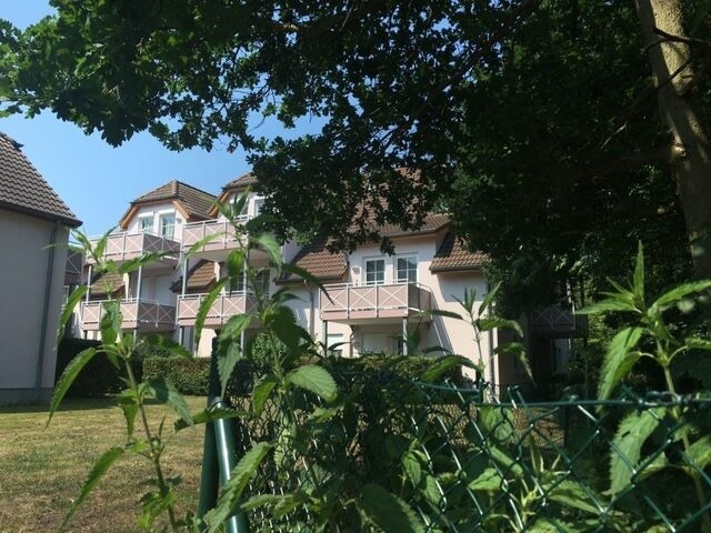 Ferienwohnung in Dierhagen - Ferienwohnung Ostseereif 211 - Bild 14