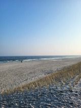 Ferienwohnung in Ostseeheilbad Zingst - Achtern Diek 15a Whg. 1 - Bild 24