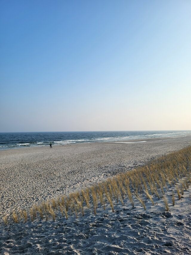 Ferienwohnung in Ostseeheilbad Zingst - Achtern Diek 15a Whg. 1 - Bild 24