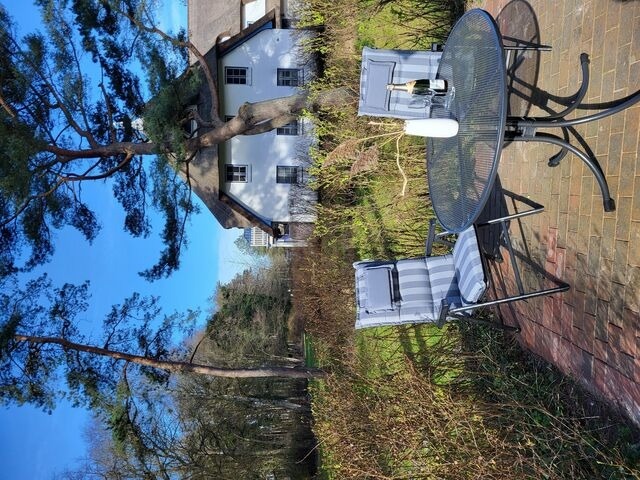 Ferienwohnung in Ostseeheilbad Zingst - Achtern Diek 15a Whg. 1 - Bild 25