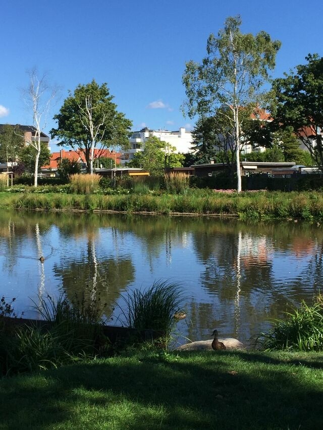 Ferienwohnung in Scharbeutz - Maris Ferienwohnung Nr. 46 (EG mit Terrasse) - Bild 20