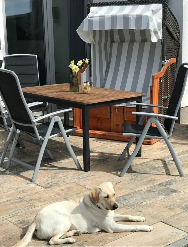 Ferienhaus in Fehmarn - The Fehmarn Lodges - RELAX - - Bild 5