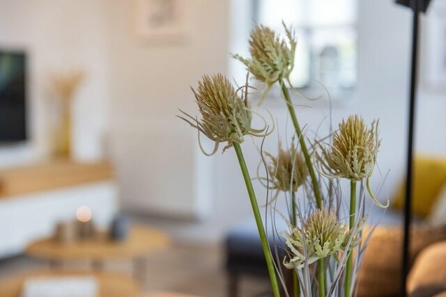 Ferienwohnung in Zingst - FeWo Brede - Bild 7