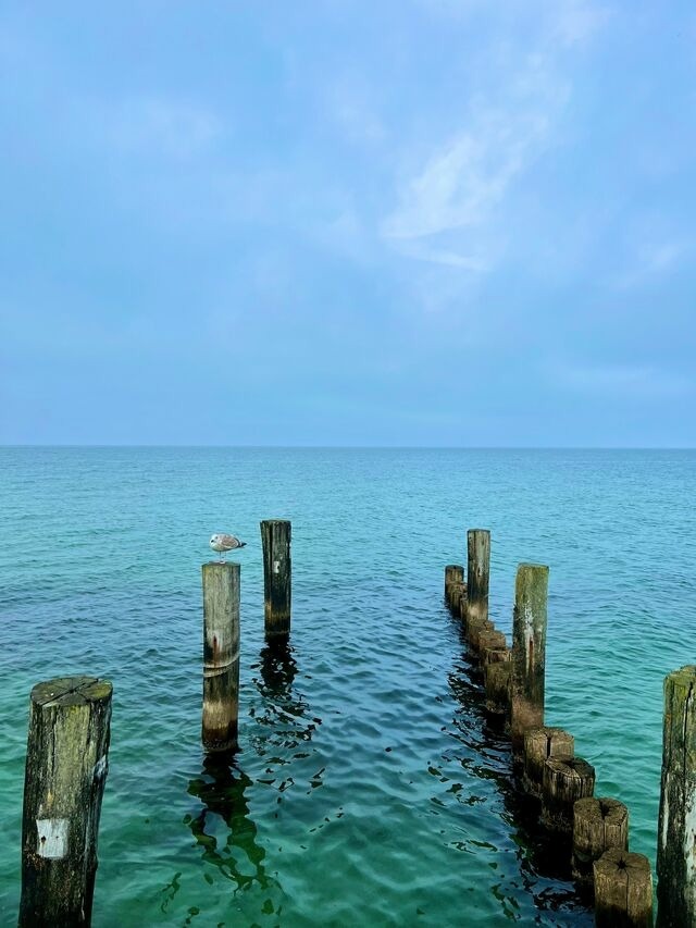 Ferienwohnung in Ostseeheilbad Zingst - Traumpier 1 - Bild 25