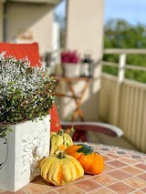 Ferienwohnung in Eckernf&ouml;rde - Sea View Apartment Eckernf&ouml;rde - Bild 21