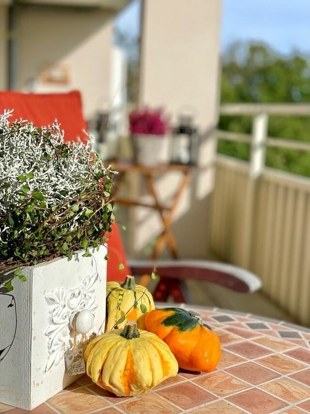 Ferienwohnung in Eckernf&ouml;rde - Sea View Apartment Eckernf&ouml;rde - Bild 21