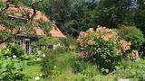 Ferienwohnung in Dahme - Bauerngarten - Bild 24