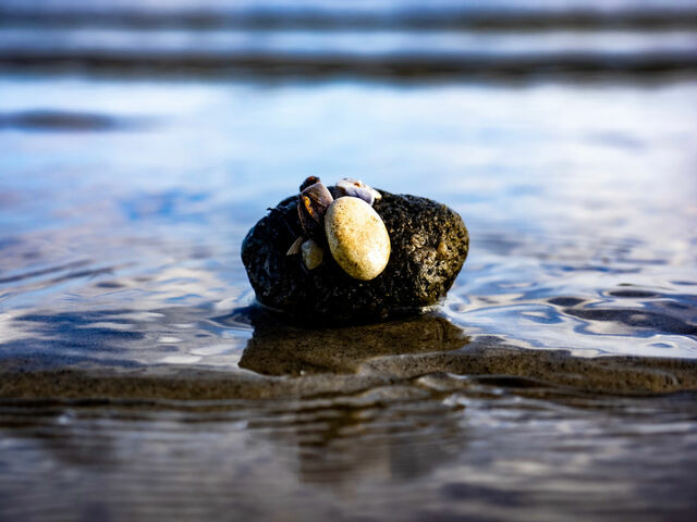 Ferienwohnung in Glücksburg - Ferienwohnung Am Leuchtturm - Bild 18